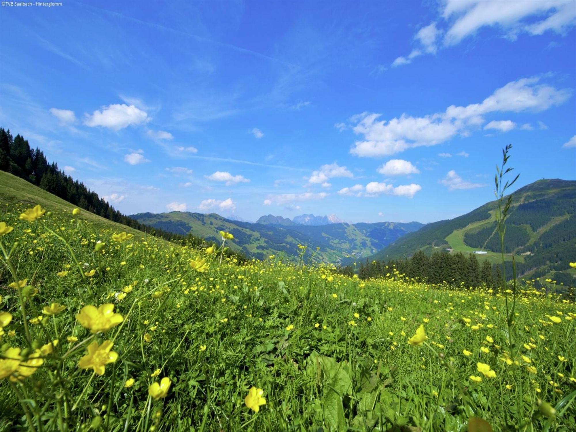 Apartment In Saalbach Hinterglemm Near Ski Area Eksteriør bilde